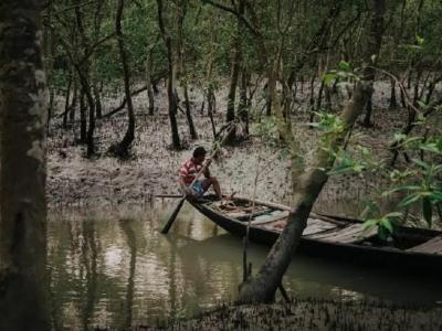 Sundarban Strip Tourist