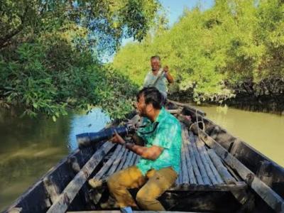 Sundarban Strip Tourist
